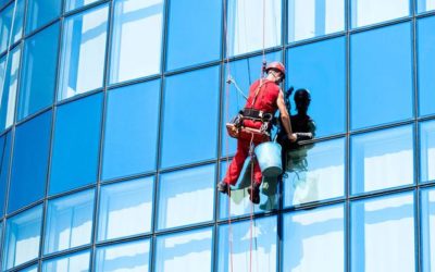 Oggi puliamo I vetri?